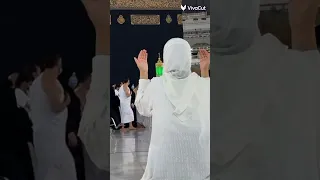 انشودة يامن يراني 