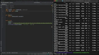 Hiding python code script obfuscation