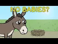 Why Are Mules Unable to Reproduce