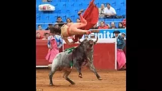 ههه انضر ماذا فعل طورورو بهذا الرجل المسكين 