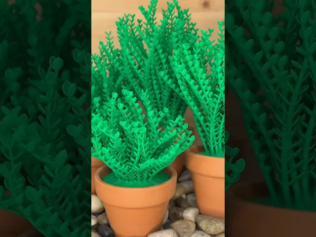 Moneywort video thumbnail