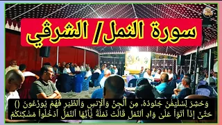 سورة النمل قراءة الشرقي بصوت طلبة السواني حفظهم الله دندنها