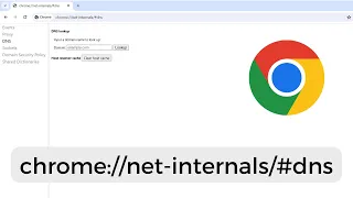 How to clear DNS cache in Chrome Host Cache on Windows 10 11