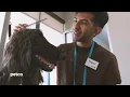 Petco Professional Dog Grooming Testimonial Austin TX