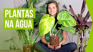 PLANTS in WATER 🌿 how to GROW and TIPS