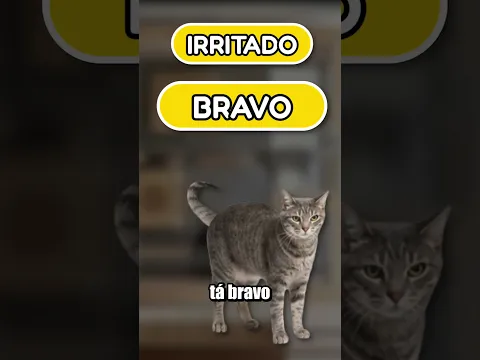 REPARA NO RABO DO GATO!