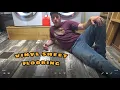 Vinyl Sheet Flooring Cheapest and Easiest DIY Flooring