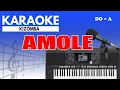 Download Lagu Karaoke - Amole // Lindex ( Kizomba )