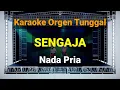 Download Lagu SENGAJA // NADA PRIA // HJ.ELVI SUKAESIH // KARAOKE ORGEN TUNGGAL