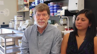 התרופה נוגדת הדיכאון פרוזאק מעבירה התנהגות שונה לשלושת הדורות הבאים בדגים 