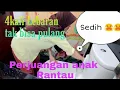 Download Lagu NASIB ANAK RANTAU, LEBARAN TAK BISA PULANG...