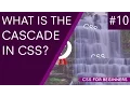 CSS Tutorial For Beginners 10 - CSS Conflicts the Cascade
