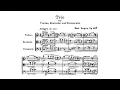 Max Reger - String Trio No. 2 in D Minor, Op. 141b