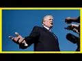 What is donald trump s iq