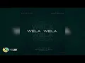 Caltonic SA, Perspectiv Soul and Nampiiey - Wela Wela [Feat. BoituM] (Official Audio)