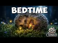 The Firefly Dance Calming Bedtime Song for Kids