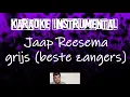 Download Lagu Jaap Reesema -  Grijs (Beste Zangers)     , instrumental met tekst