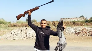 مجزره صيد الغربان بالملكه الاسبانيه 