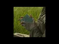 Adrianne Lenker - Anything (slowed)