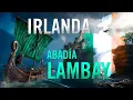 Download Lagu ¡Destruimos la Abadía de Lambay en Irlanda! Assassin's Creed: Valhalla
