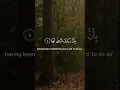 Download Lagu Surah Az-Zalzalah by Mishary Rashid Alafasy with Arabic subtitles and English Translations.#shorts