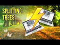Splitting a Tree in Family Tree Maker A Step-by-Step Tutorial