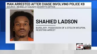Berkeley County deputies arrest armed suspect after pursuit K9 track