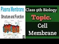 Cell membrane Plasma membrane Class 9th Biology Chapter 4 In Pashto