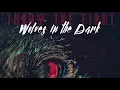 Download Lagu Throw The Fight  - Wolves in the Dark