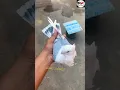 Download Lagu Satin Kabutar😱Magical Growth🕊️#bihari #kabootar #shorts #video #viral #pigeon #status #birds