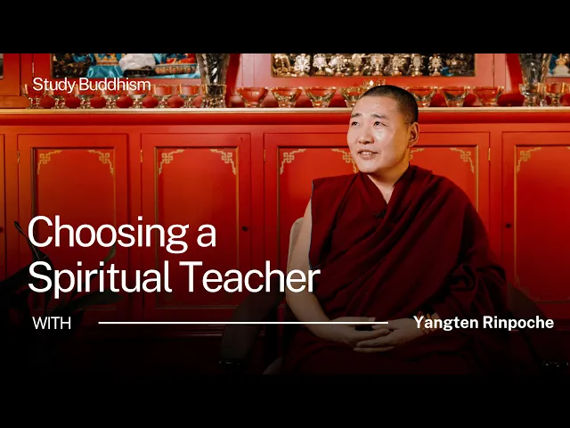How to Find a Real Spiritual Teacher (A Buddhist Guide) | Yangten Rinpoche