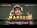 Download Lagu Mandul - karaoke duet tanpa vokal cewek dangdut koplo