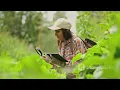 The Western Ghats: Biodiversity Hotspot of India | पश्चिमी घाट: भारत का जैव विविधता हॉटस्पॉट