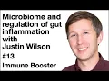 Immune Booster Microbiome and regulation of gut inflammation with Justin Wilson