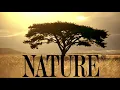 Lagu ULTIMATE PBS NATURE THEME VIDEO