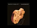 David Qualey - Fugue Allegro Tortelllini (Track 11) Handmade ALBUM