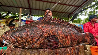 Kasimedu speed selvam 18kg big grouper fish cutting #kasimeduselvam #shorts #bigfish