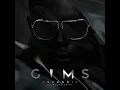 Caméléon - GIMS