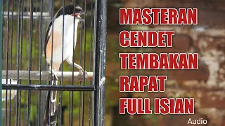 masteran cendet gacor full isian tembakan super keren free download mp3