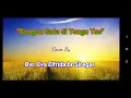 Download Lagu Cover Lagu Songon Solu di Tonga Tao oleh Bvr  Eva Elfrida br Siregar