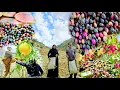 Download Lagu Nomadic Life | Mountain Pistachio Harvesting and Water | From the Well Everyone Fears!