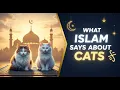 Download Lagu What Islam Says About Cats 🐾 | The Story of Prophet Muhammad ﷺ and His Cat
