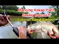 Download Lagu Rangkaian pancing kakap putih sungai