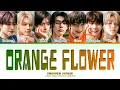 Lagu ENHYPEN (엔하이픈) 'Orange Flower (You Complete Me)' Lyrics (Color coded lyrics/Han Rom Eng)