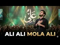 Lagu ALI ALI Mola Ali 🖤 Emotional Islamic DJ Remix | High Bass | Ya Ali Maula 2026