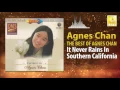 Agnes Chan - It Never Rains In Southern California (Official Audio)