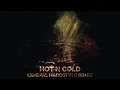 Hot N Cold (hardstyle remix + SUPER SLOWED)