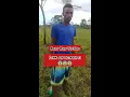 Download Lagu BAJU BIRU VIRAL Di TIKTOK