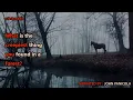 Download Lagu What is the creepiest thing you found in a forest?