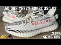 Adidas Yeezy 350 V2 Zebra 2022 On Feet Review